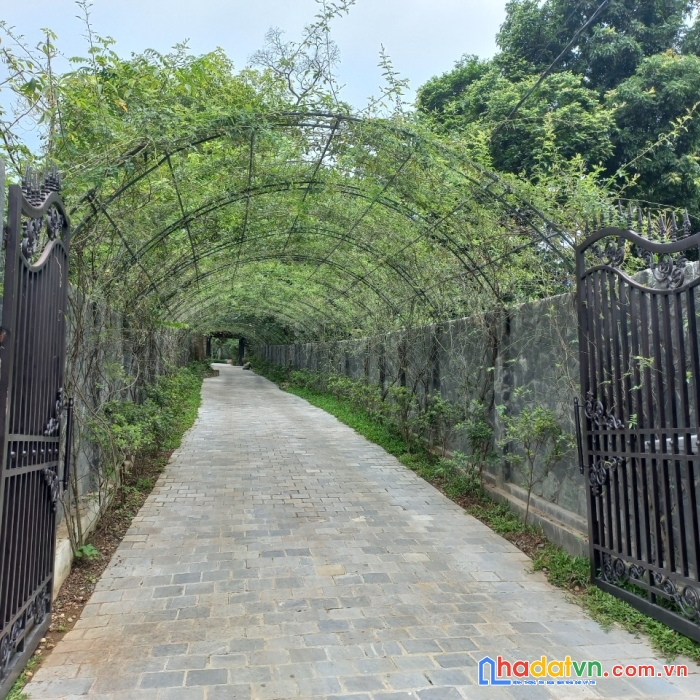 Bán nhanh lô đất  1510 m tại (hòa lạc) xã phú mãn huyện quốc oai giá chỉ nhỉnh 5 tr/m