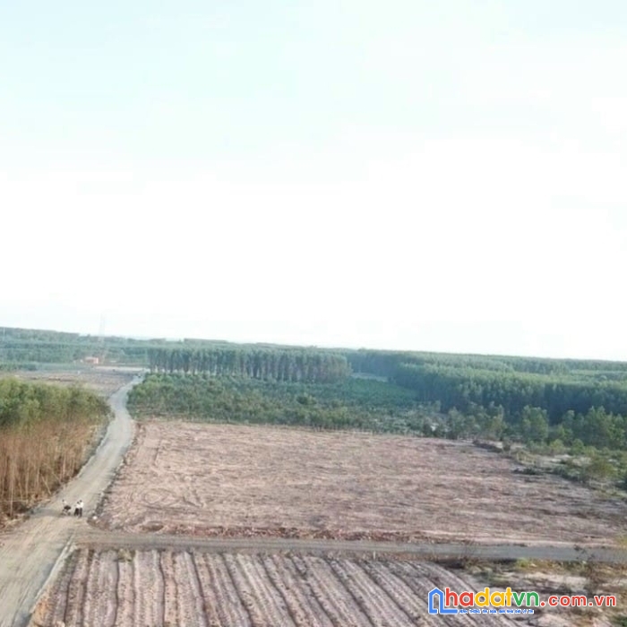 Bán đất liên kề khu công nghiệp sơn mỹ hàm tân bình thuận