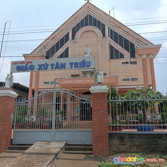 Chính chủ cần bán gấp đất thổ cư, shr, 124m2, chỉ 1,38 tỷ.