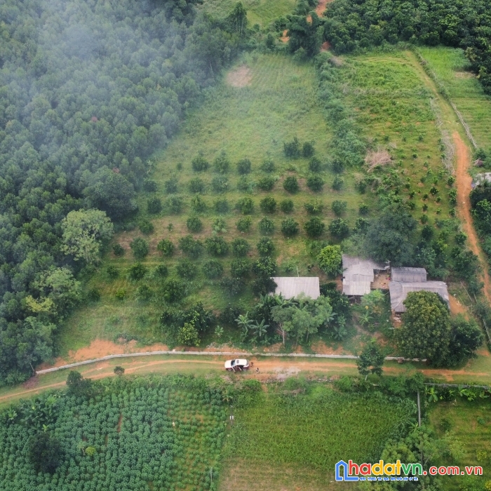 Bán mảnh đất  đất vàng 4500m tại (hòa bình)xã gia mô huyện  tân lạc giá chỉ 400 nghì /m.