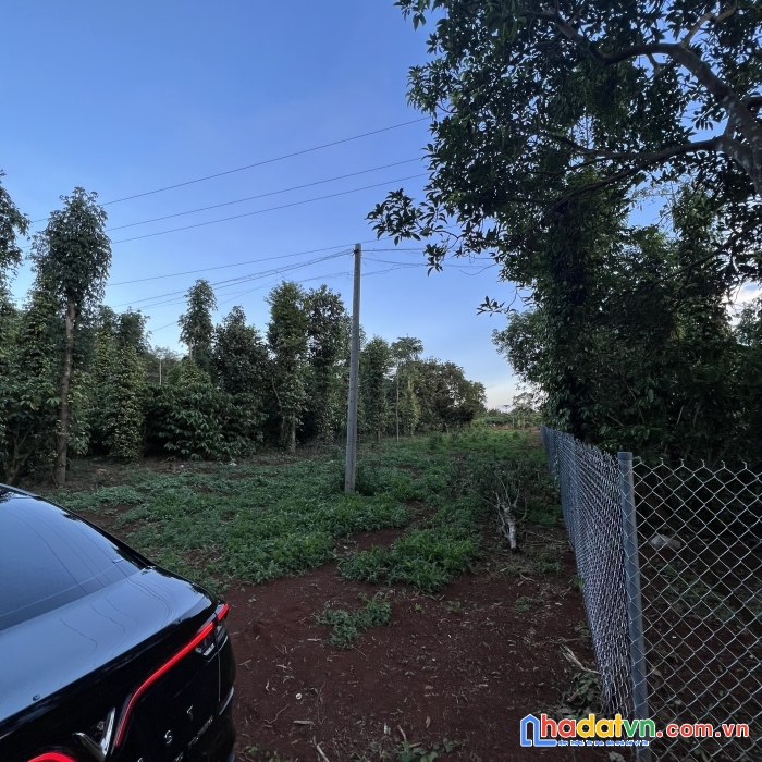 Bán đất nền thuộc thị trấn long giao, cẩm mỹ, đồng nai