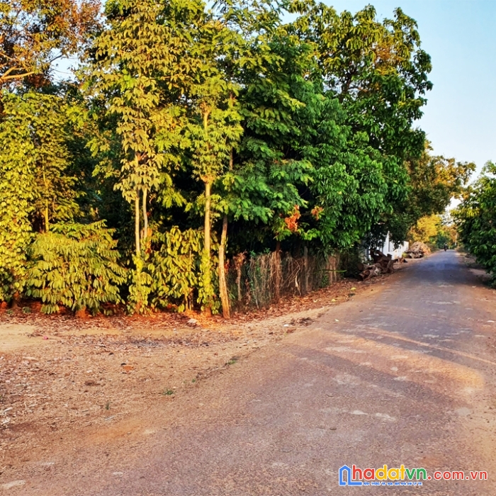 Trung tâm buôn bông xã ea kao thành phố buôn ma thuột chỉ 155tr mét ngang