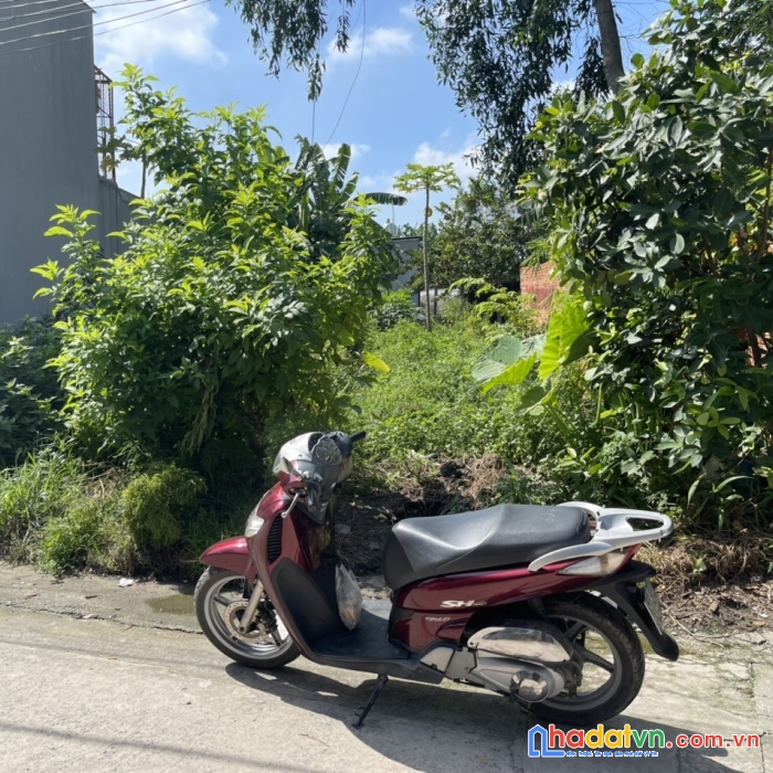 Bán đất mặt tiền ngang 8m đường thới tam thôn 12bis