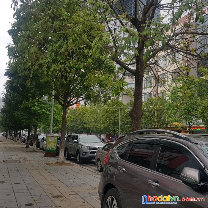 Nhà 190m2 mặt phố hồ tùng mậu mai dịch hà nội khinh doanh 40 tỷ.
