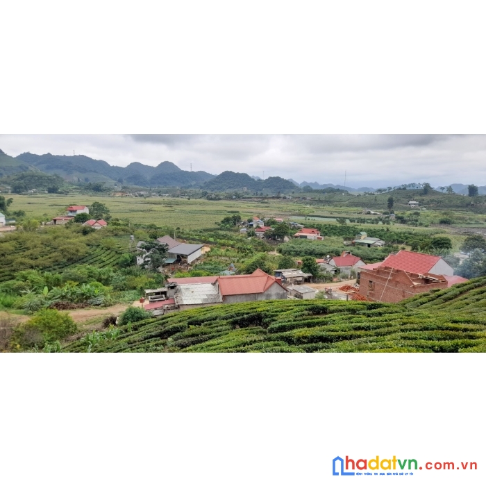 Do dịch bệnh hoành hành nên gia đình cắt lỗ mảnh đất 3400 tại mộc châu