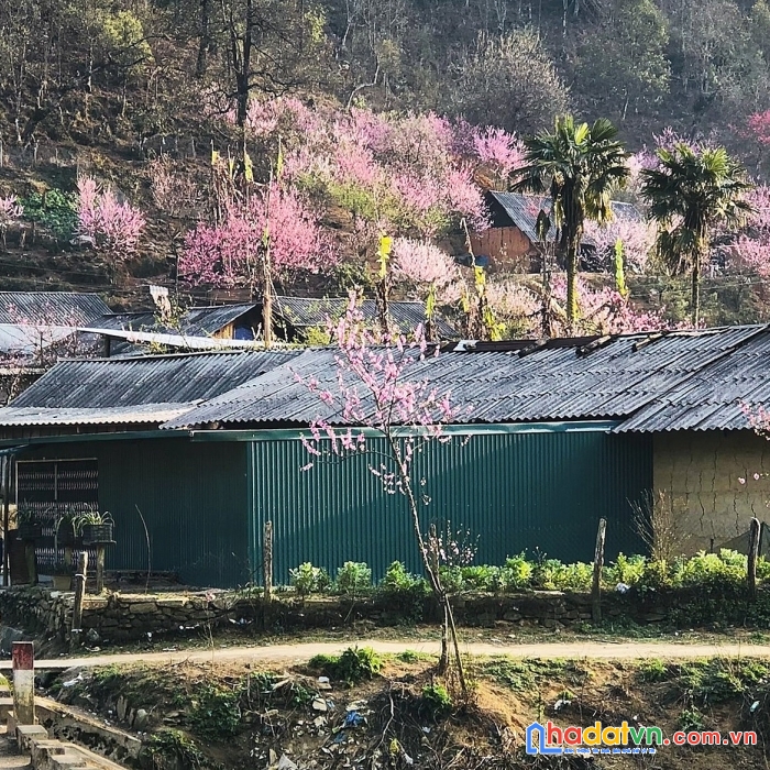 Bán mảnh đất 1662m2 thôn phìn hồ, khu vực phát triển khu đô thị mới phìn hồ sau này.