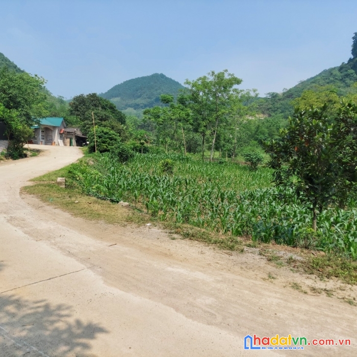 Lô đất đẹp mà rẻ chỉ có ở dân hạ kỳ sơn bám mặt tiền 100m chải dài thỏa mái đầu tư