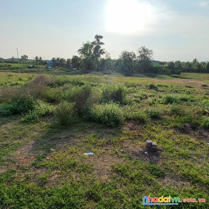 Bán 14 lô đất mặt tiền huỳnh thị đức, phường 5, thành phố tân an, long an