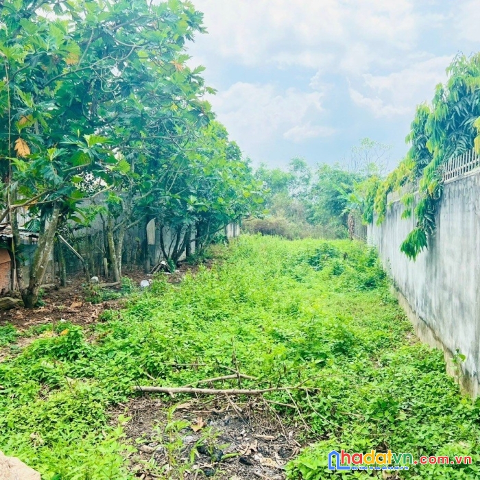 Đất đẹp giá rẻ tại đường nguyễn văn khạ, xã tân an hội, huyện củ chi