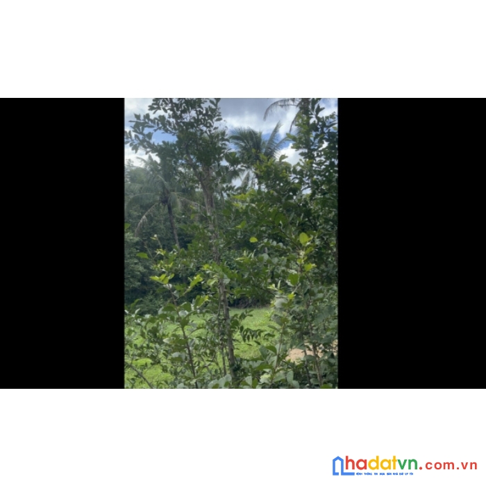 Đất bán tại chùa ba cô, thôn cẩm tú, xã hoà kiến, tuy hòa, phú yên