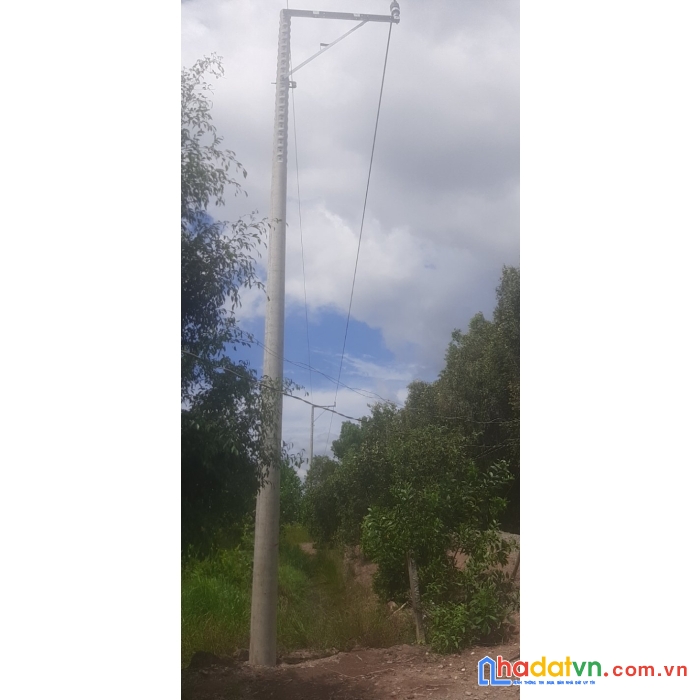 Cần bán đất vườn tại xã thạnh mỹ huyện tân phước tỉnh tiền giang