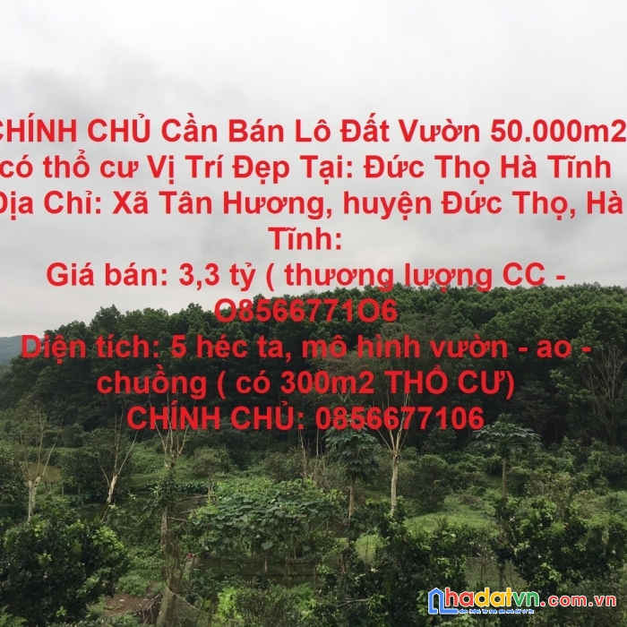 Chính chủ cần bán lô đất vườn 50.000m2 có thổ cư vị trí đẹp tại: đức thọ hà tĩnh