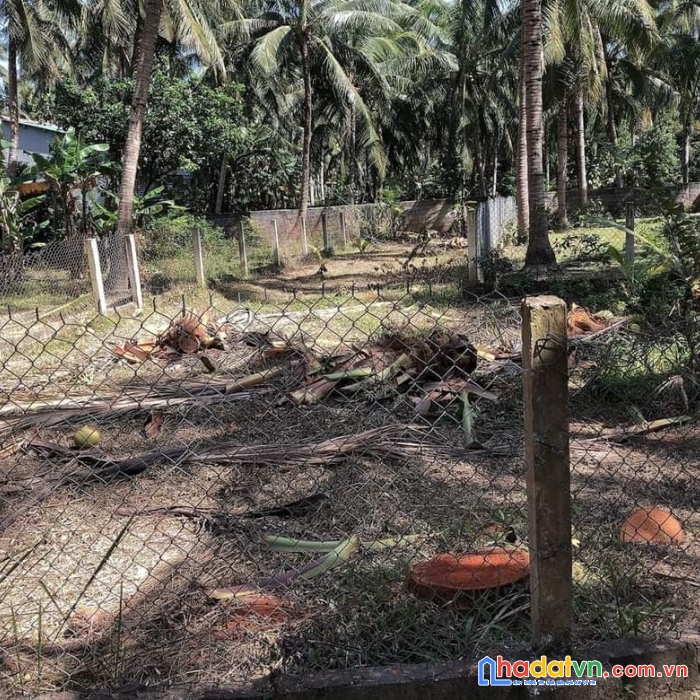 Cần bán đất sổ đỏ chính chủ tại khối 9 tt tam quan huyện hoài nhơn tỉnh bình định