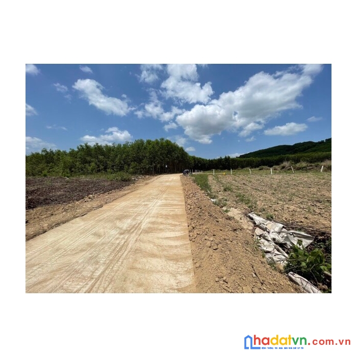 Bán lô đất phường giá rẽ ninh hải-n.hòa sdt 0985451850 xuân xuyên