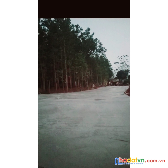 Bán đất vĩnh quang vĩnh lộc giá nét cho các nhà đầu tư