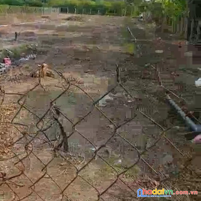 Bán đất vườn nhị bình châu thành - tiền giang