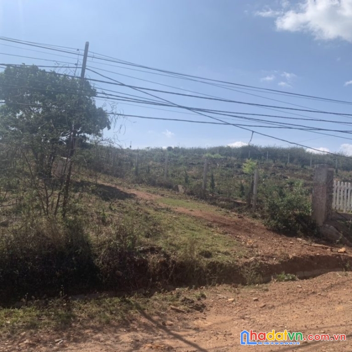 Chỉnh chủ cần bán đất diện tích : 7000 m2 ; ngang : 60m ( có 600m2 thổ cư, chuyển đổi phần còn lại