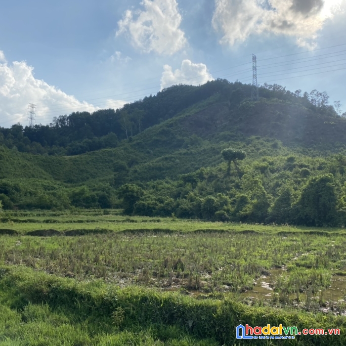 Chính chủ cần bán lô đất siêu đẹp tại thành phố hòa bình