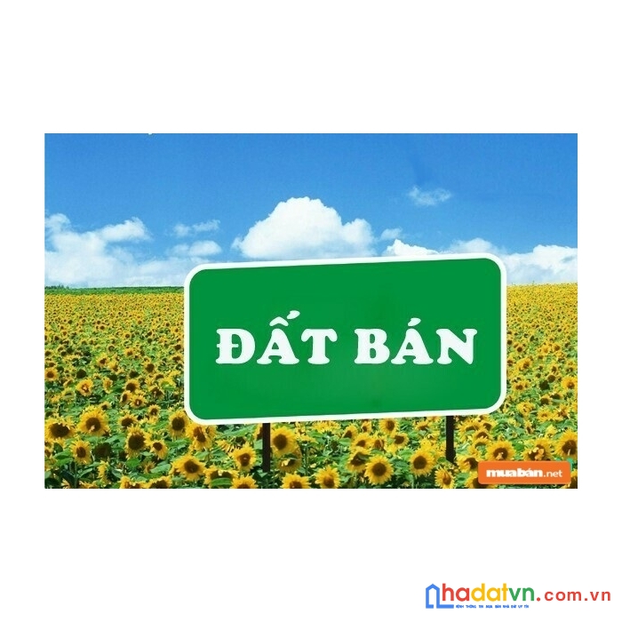 Chính chủ cần tiền bán nhanh 2  lô  đất liền kề tại tl 289  xã tân  mộc - luc ngạn - bắc giang.