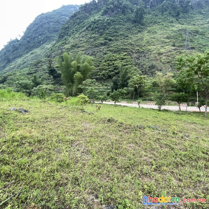 Đón sóng cao tốc tuyên quang hà giang , giới thiệu đến nđt mảnh đất quản bạ trục ql4c giá rẻ