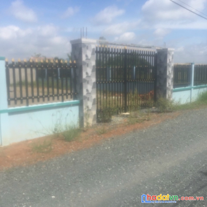 Hot hot cần bán gấp lô đất  vị trí đẹp tại xã tân lập , huyện cần giuộc ,tỉnh long an.