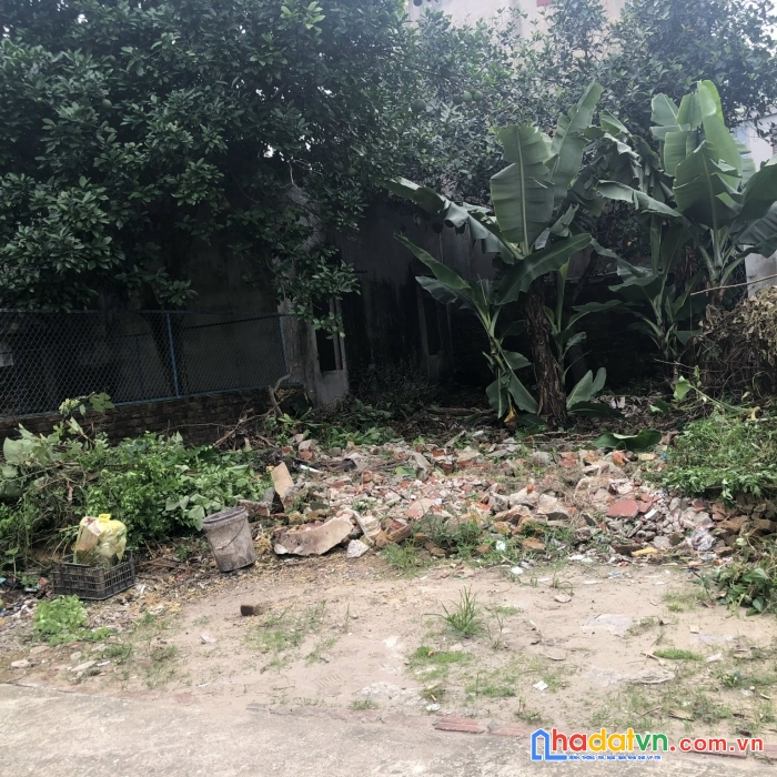 Chính chủ cần bán mảnh đất tại đ.c xóm bãi xã uy nỗ huyện đông anh hà nội