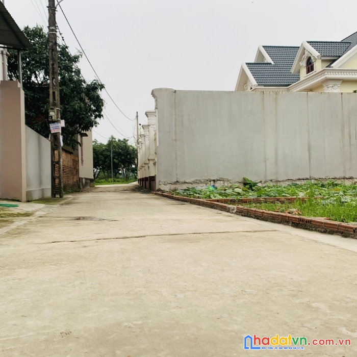 Hàng siêu đẹp đình trung, 55m2 mt 6m đương 4m ngo thông giá chỉ 2x triêu/1m2