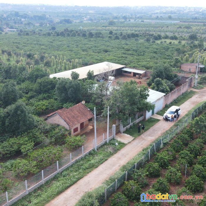 Bán 25286m²  đất tại xã  chư á, thành phố pleiku, gia lai giá  779 nghìn 1 mét vuông.