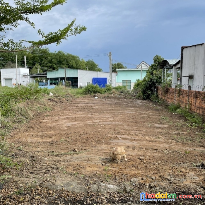 Tôi kẹt tiền cần bán gấp lô đất 300m , full thổ cư , xây dựng tư dọ , vị trí dân đông kín
