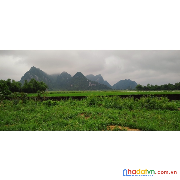 Bán đất thị trấn ba hàng đồi, lạc thủy, hoà bình dt4635m2 lh 0395 335 339