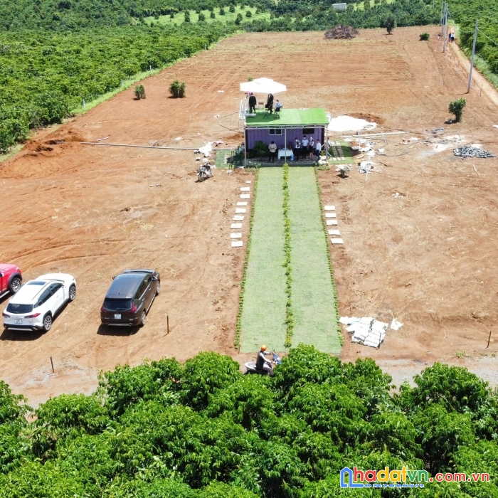 Đất có thổ cư bảo lâm, sổ trao tay chỉ 1 tỷ 1 cb bank bảo lãnh cho vay