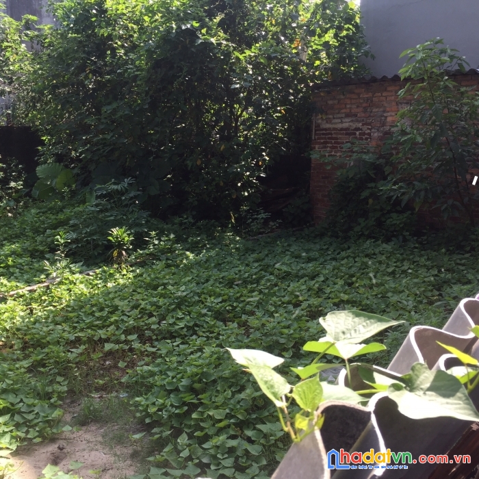 Bán đất 33,9m2 thị trấn đông anh giá 1,250 tỷ, mặt tiền 5m