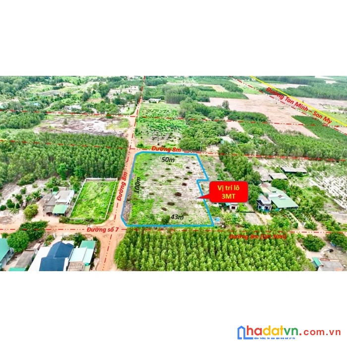 Lô 3 mặt tiền 100*46m đường số 7 cách đường tân minh-sơn mỹ 300m, thôn 1 sơn mỹ