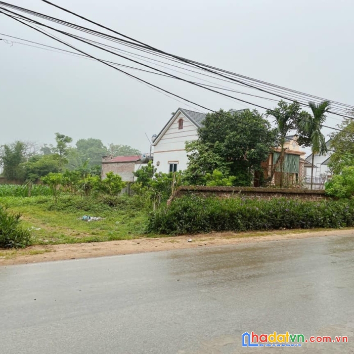 336,8m2 đất mặt đường trán voi phú mãn quốc oai hn hơn 4 tỷ