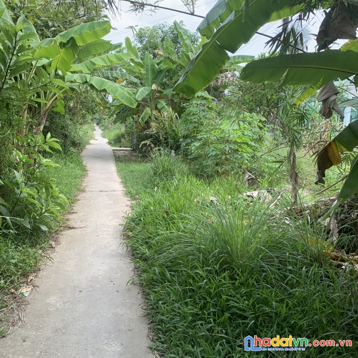 Bán đất gần chợ minh lương, thị trấn minh lương, châu thành, kg. 067