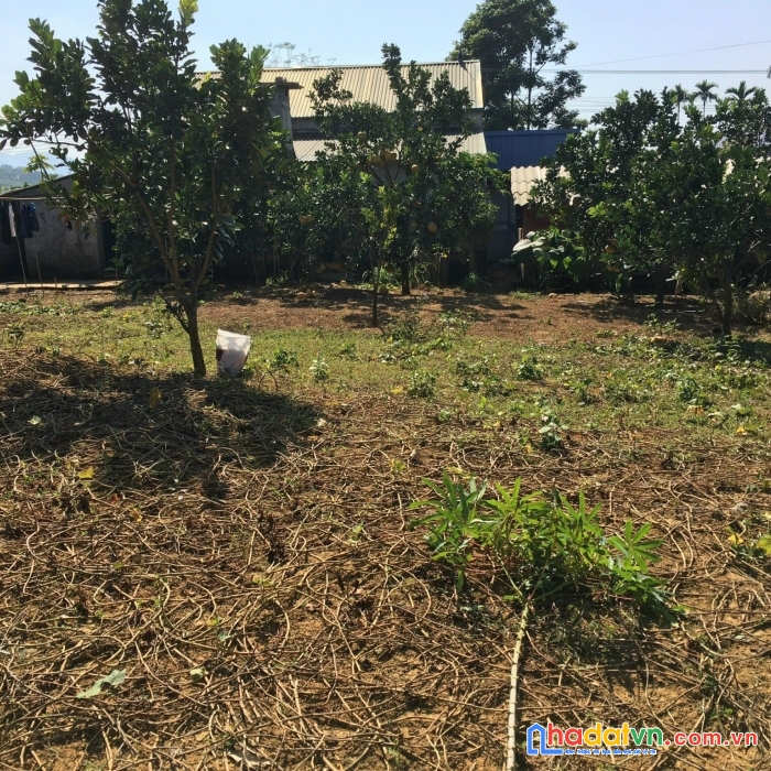 Bán nhanh đất dt 600m2 full thổ cư giá 9xx triệu cao phong - hòa bình