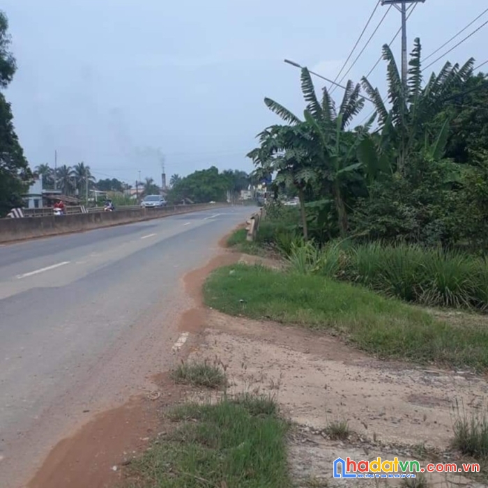 Cần tiền bán gấp lô đất 160m2 quốc lộ 22b