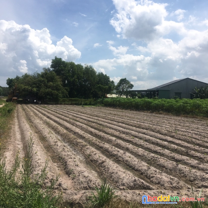 Đầu tư sinh lời cao đất kế đường hồ chí minh