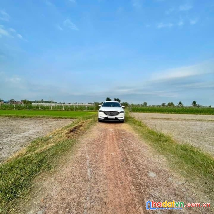 Đất bán xã phước thạnh  củ chi.