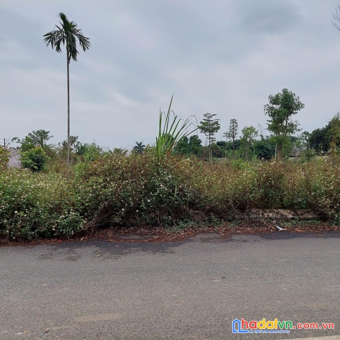 Bán đất phú cát quốc oai 850m2 /150 m2 ont giá 7,65 tỷ