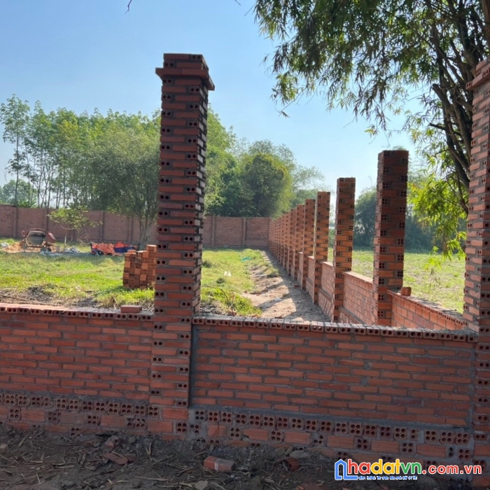 Kẹt tiền sang gấp lô đất dt 1240m² tại trung lập thượng, củ chi.