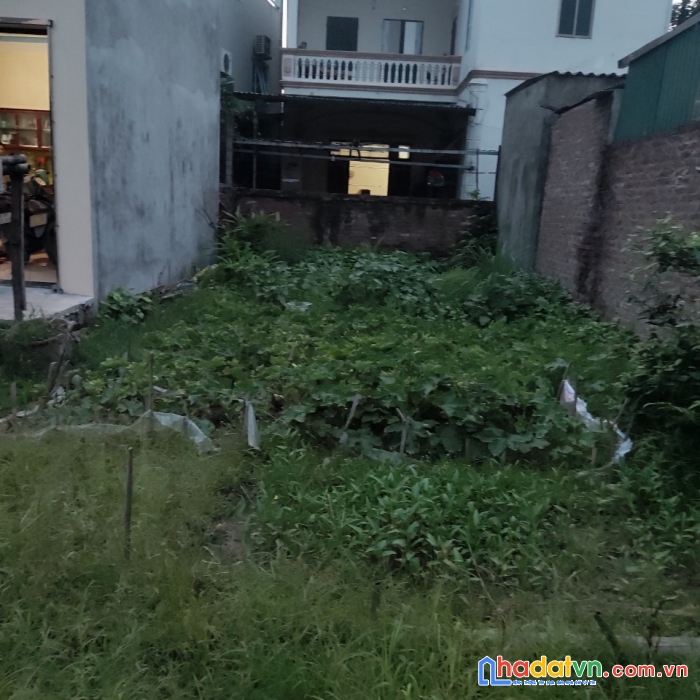 Chính chủ bán đất ngõ 133, đường bình minh, tân lập, đan phượng, 1.4 tỷ