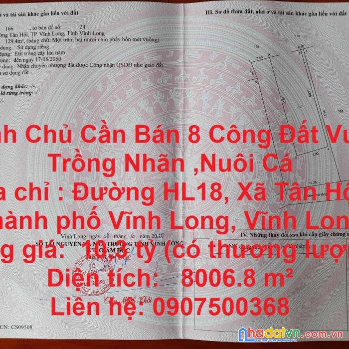 Chính chủ cần bán 8 công đất vườn trồng nhãn ,nuôi cá