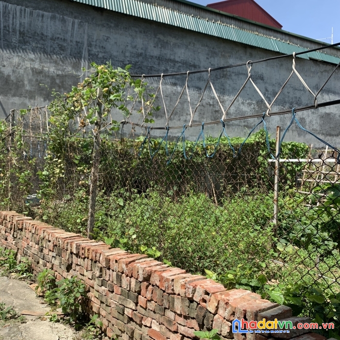 Cơi hội đầu tư sinh lời, đất đa tốn  giáp dự án vinpearland gia lâm