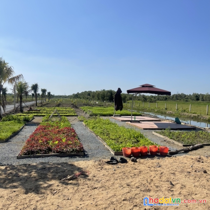 [duy nhất] 1100m2 đất vườn thành phố tây ninh, view núi bà đen