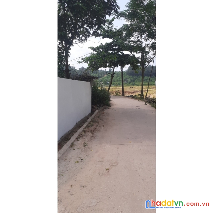 Mở bán 5 lô đất tại , dĩnh lục , tân dĩnh , lạng giang