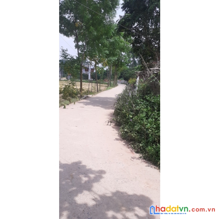 Vị trí đất quá đẹp ô tô đi lại k vướng nhau,yên dũng ,bắc giang