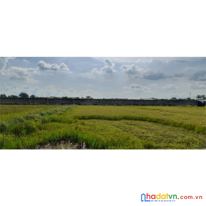 Đất lớn mặt tiền nguyễn văn khạ phú hòa đông củ chi