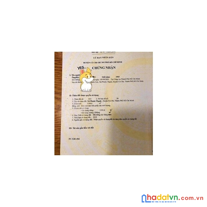 Bán đất quy hoạc khu dân cư giá rẻ đường 646, phước thạnh, củ chi