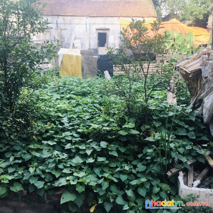 Chỉ 8xx có 88m2 tại thái phù-mai đình-sóc sơn-hà nội